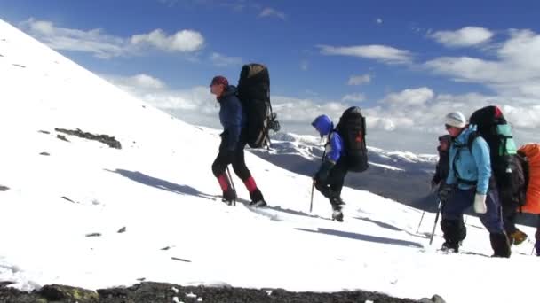 Chůze týmu horolezců — Stock video