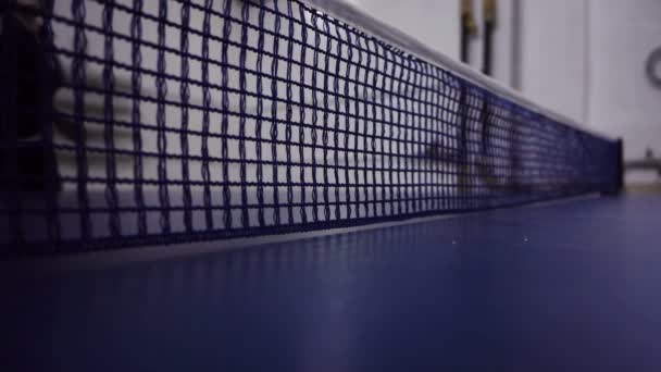 Jogando pingue-pongue — Vídeo de Stock
