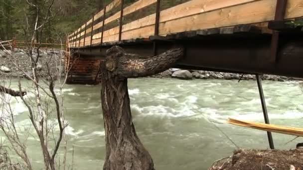 Río afluente con corriente rápida — Vídeos de Stock