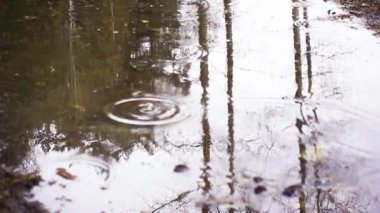 dökülen yağmur altında sonbahar