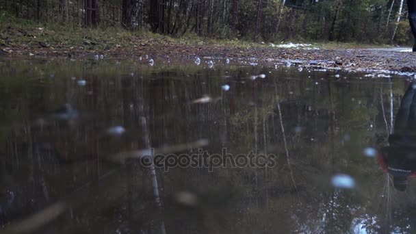 Pouring rain in autumn — Stock Video