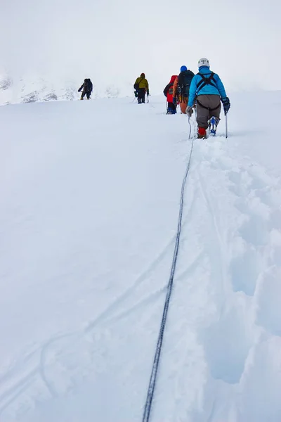 Alpinisti escursioni sulle montagne innevate Fotografia Stock