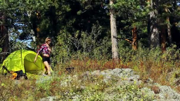 Молодая женщина в летнем лесу — стоковое видео