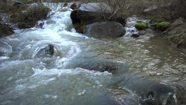 Affluent river with rush current — Stock Video
