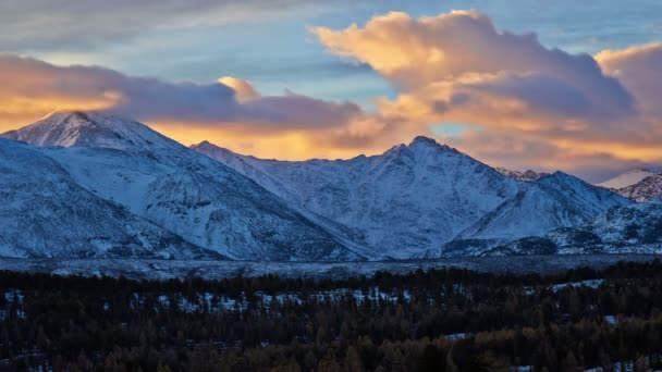 Winter bergen landschap — Stockvideo