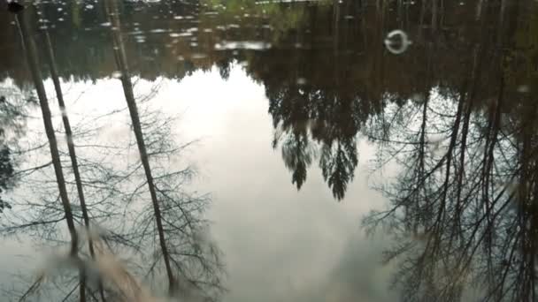 Lluvia torrencial en otoño — Vídeos de Stock