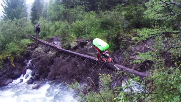 Man crawling on log over stream — Stock Video