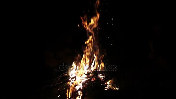 Vuur brandt 's nachts — Stockvideo