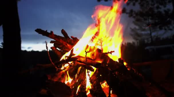 夜间篝火燃烧 — 图库视频影像