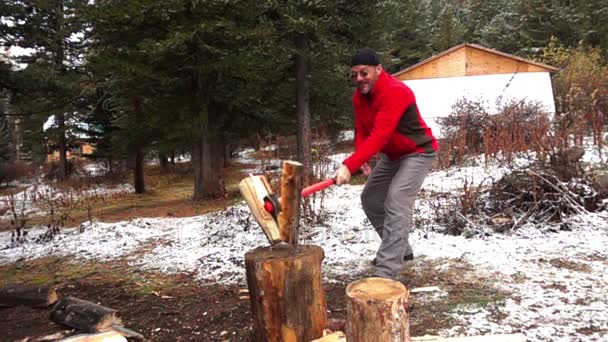 Leñador cortando madera — Vídeos de Stock