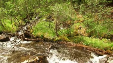 Dağ dere rapids