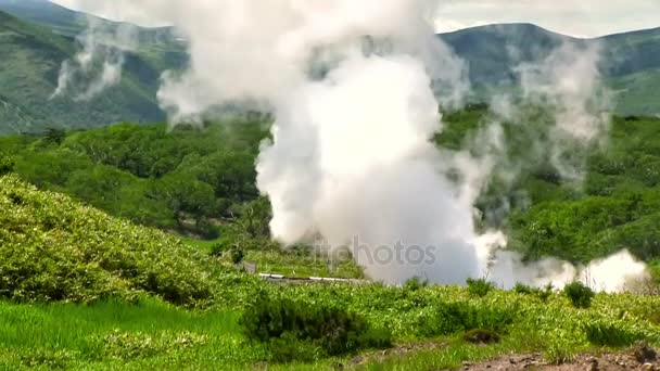 La vapeur blanche s'élève au-dessus des sources chaudes sur la pente du volcan . 