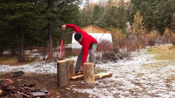 Lumberman cutting wood — Stock Video