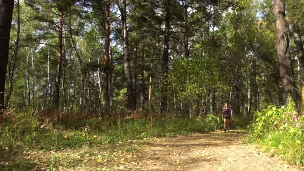 Молодая женщина в летнем лесу — стоковое видео