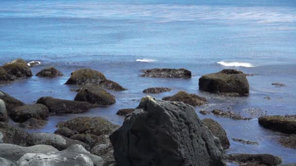 Olas marinas cerca de la costa rocosa — Vídeos de Stock