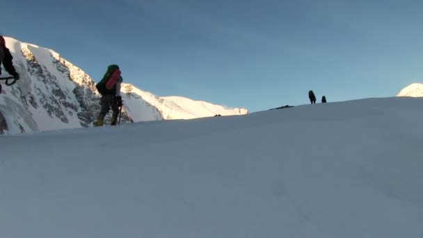 Turistas caminhadas nas montanhas de Altai — Vídeo de Stock