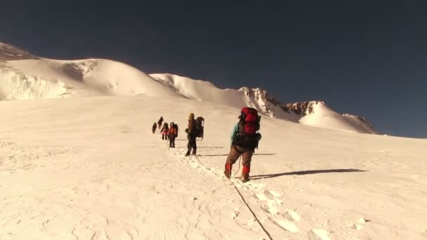 Turistas caminhadas nas montanhas de Altai — Vídeo de Stock