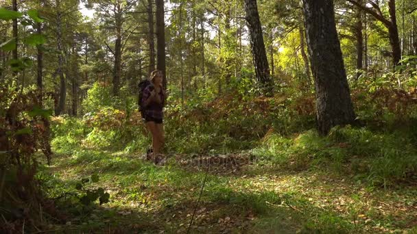 Mujer joven caminando en el bosque — Vídeo de stock