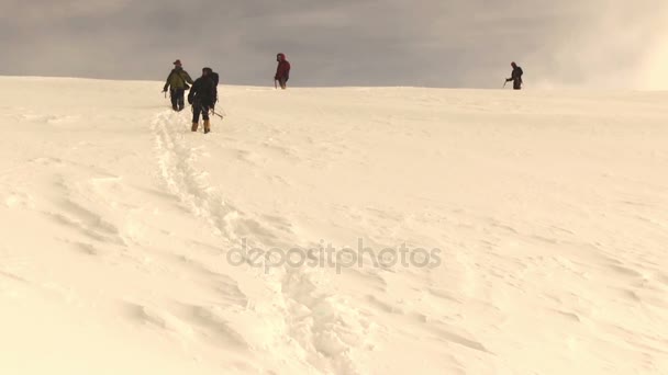 Туристы в горах Алтая — стоковое видео