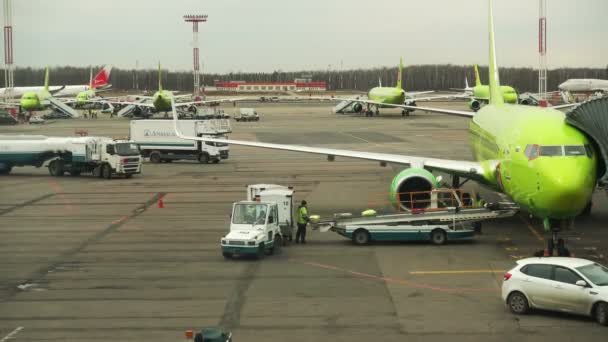 Worker taking luggage from plane — Stock Video