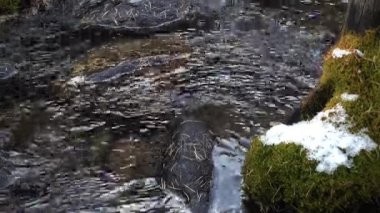 temiz su ile dağ dere