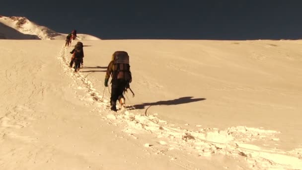 Turistas caminhadas nas montanhas de Altai — Vídeo de Stock