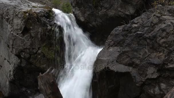 Rapide del torrente di montagna — Video Stock