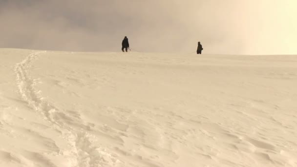 Turistas senderismo en las montañas de Altai — Vídeos de Stock