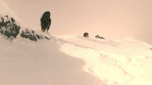 Туристы в горах Алтая — стоковое видео