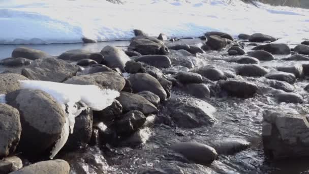 Arroyo congelado con hielo — Vídeos de Stock