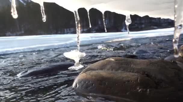 Dikke bevroren ijspegels — Stockvideo