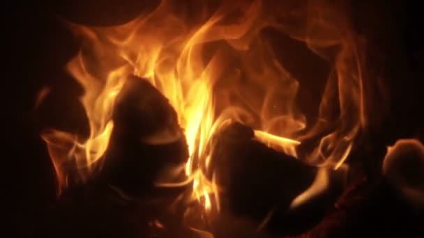 Fuego ardiente en el campamento — Vídeo de stock