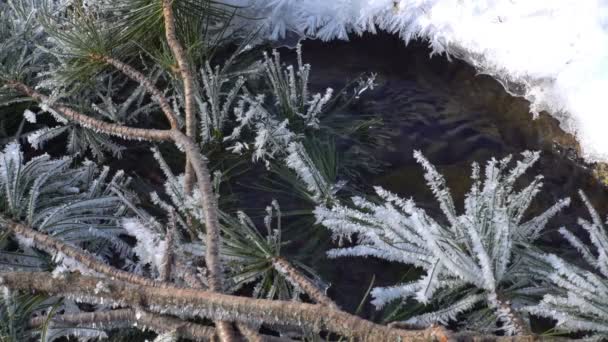 Flusso congelato con ghiaccio — Video Stock