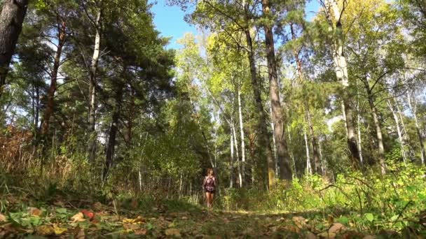 Kvinna med ryggsäck promenader i skogen — Stockvideo