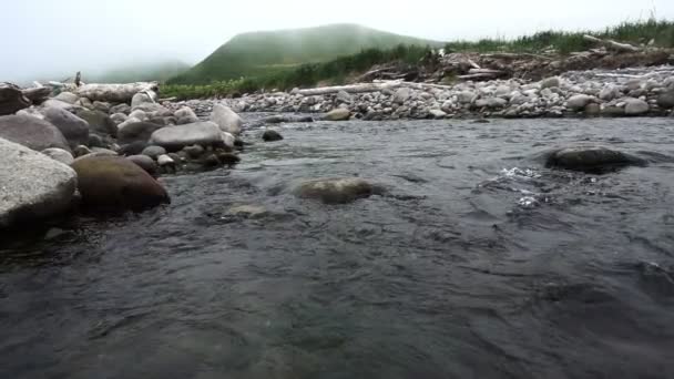 Slowmotion 강 스트림 — 비디오