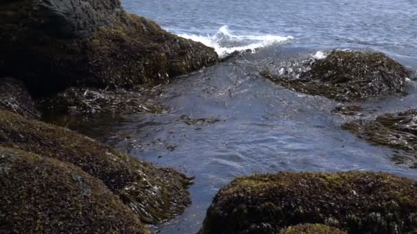 Wellen in der Nähe der felsigen Küste — Stockvideo