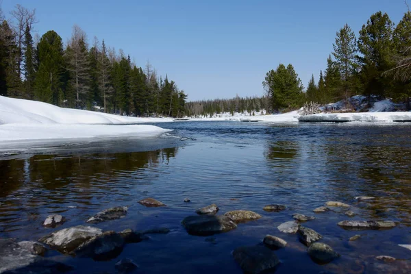 Paisaje primaveral en Siberia —  Fotos de Stock