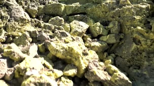Горячий источник на склоне вулкана Эбеко — стоковое видео