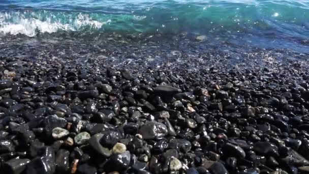 Les vagues roulent sur la plage de galets — Video