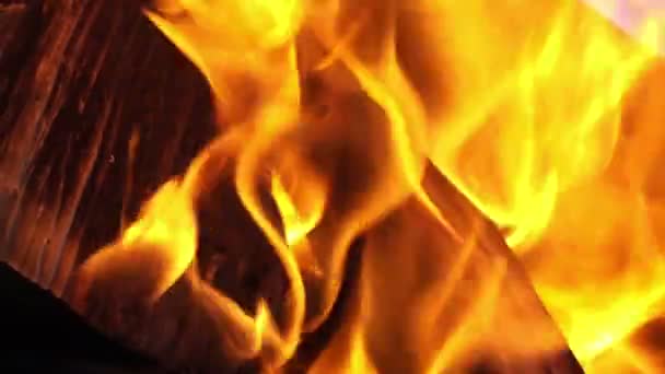 Hořící táborový oheň — Stock video