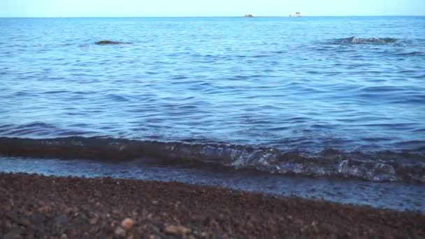 Κύματα ρολό στην παραλία με βότσαλα — Αρχείο Βίντεο