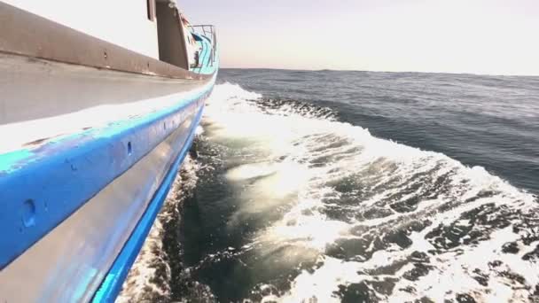 Navio Nadando Mar Inverno Câmera Lenta — Vídeo de Stock