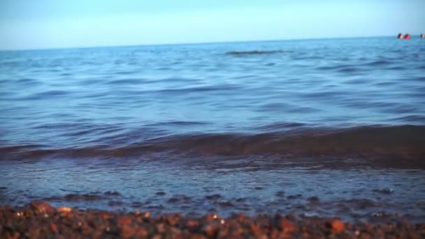 Las olas ruedan en la playa de guijarros — Vídeo de stock