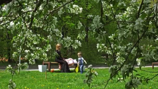 Nő a gyermek játszik a tavaszi park — Stock videók