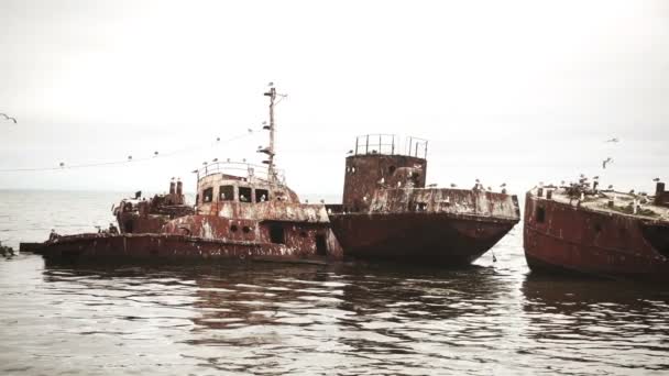 Ondulation de la mer et vieux navires abandonnés — Video