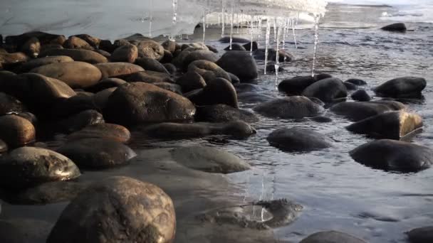 Arroyo congelado con hielo — Vídeos de Stock