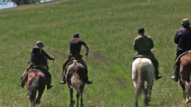 Four Men Riding Horses Green Summer Field — Stock Video
