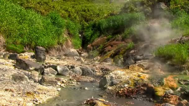 Campo Fumarolas Caldera Del Volcán Ebeko Emisión Gas Sulfuroso Caliente — Vídeo de stock