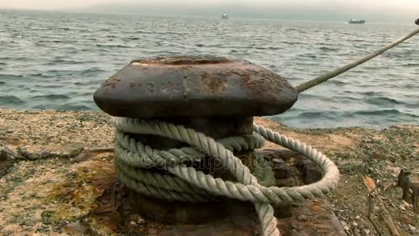 Vieux Bateaux Pêche Amarrés Dans Port — Video