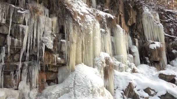 Floe Glace Sur Ruisseau Altai Printemps Sibérie Russie — Video